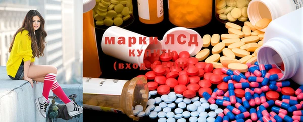 трава Беломорск