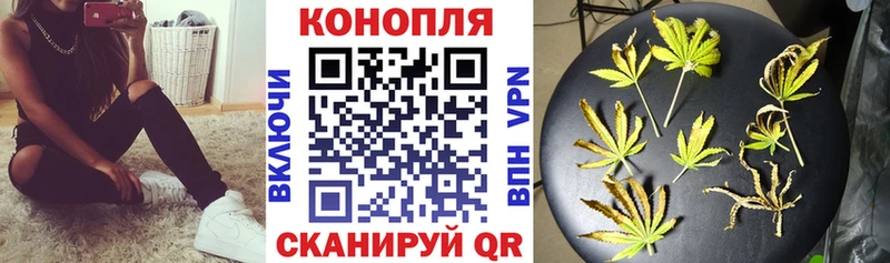 Каннабис ГИДРОПОН  что такое   Фёдоровский 